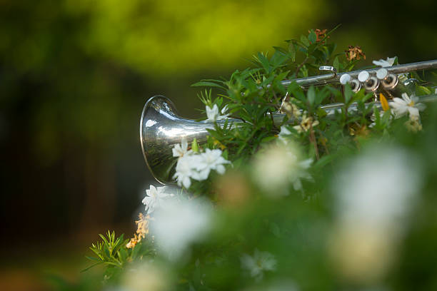trumpet leaning on a sweetgum tree in a bed of gardenias