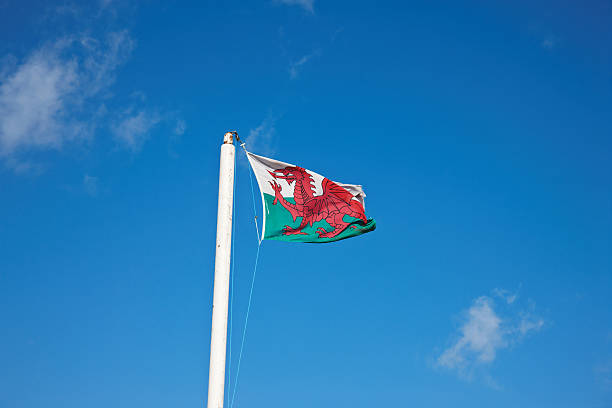 flaga walii dmuchać na wietrze - welsh flag welsh culture flag green zdjęcia i obrazy z banku zdjęć