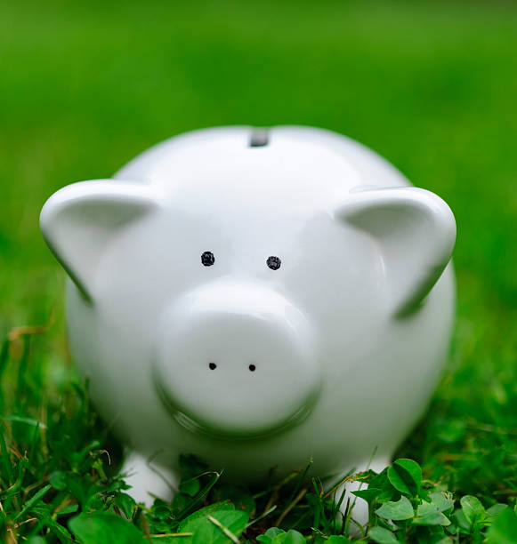 istock piggy bank outdoors 181053207