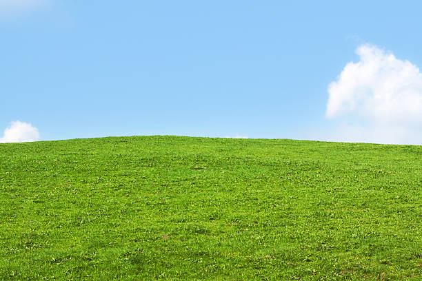 istock Horizon over hill and meadow 181054170