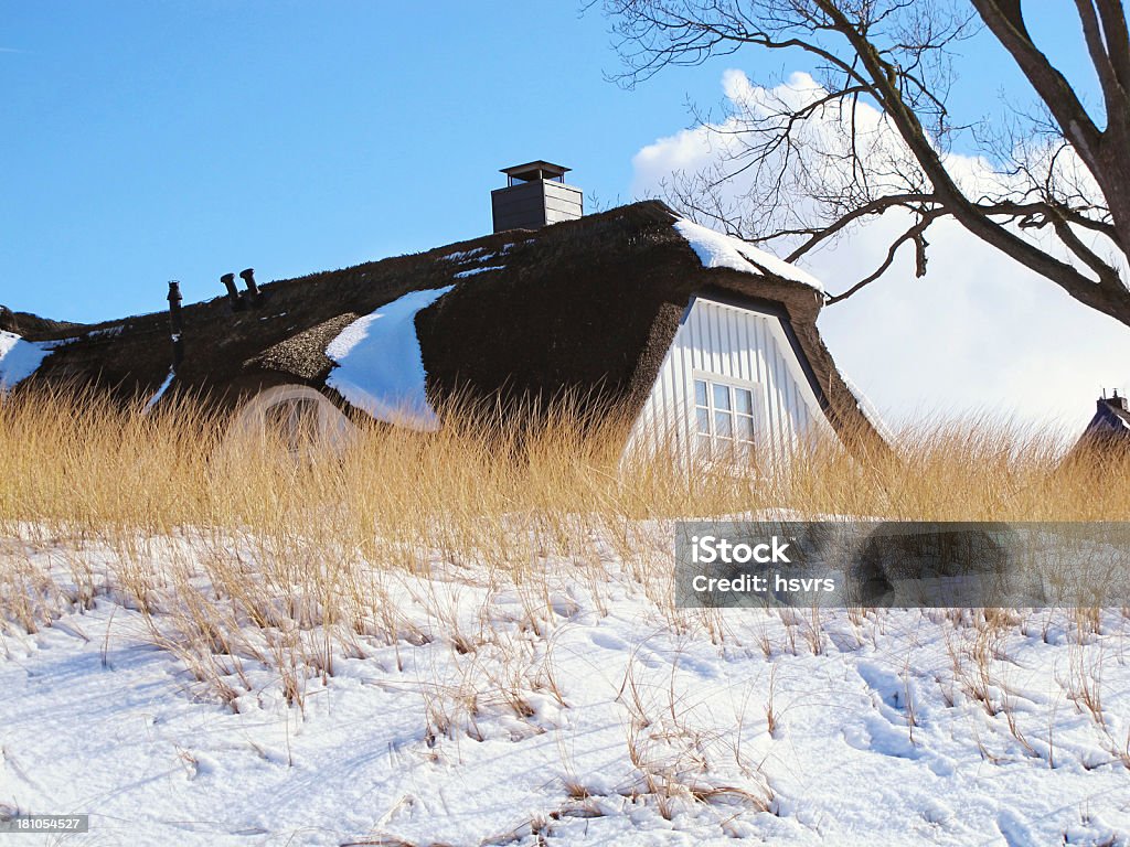 Thatched house with reed roof on beach in winter "Snowing at thatched house with reed roof on beach with a sand dune in front, DarssSee also my other Darss and Baltic sea images:" Winter Stock Photo