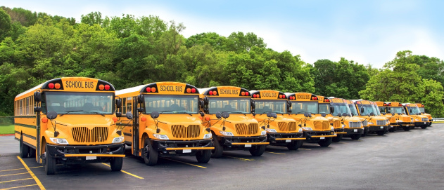 Long row of lined up school buses ready for the coming school year. Parked on asphalt with trees and blue sky in the background.