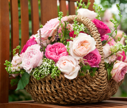 A basket of freshly picked, English cottage garden pink roses displayed on a slatted teak garden chair.