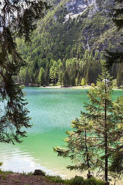 istock Pragser Wildsee, Lake Braies 181054970