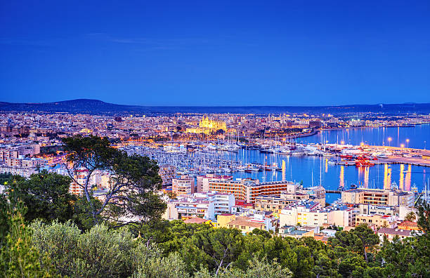 Elevated view on the port and historic center with the La Seu Cathedral in Palma de Mallorca, Spain
