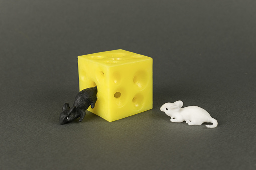 A large piece of cheese and two mice on a gray background. Creative image.