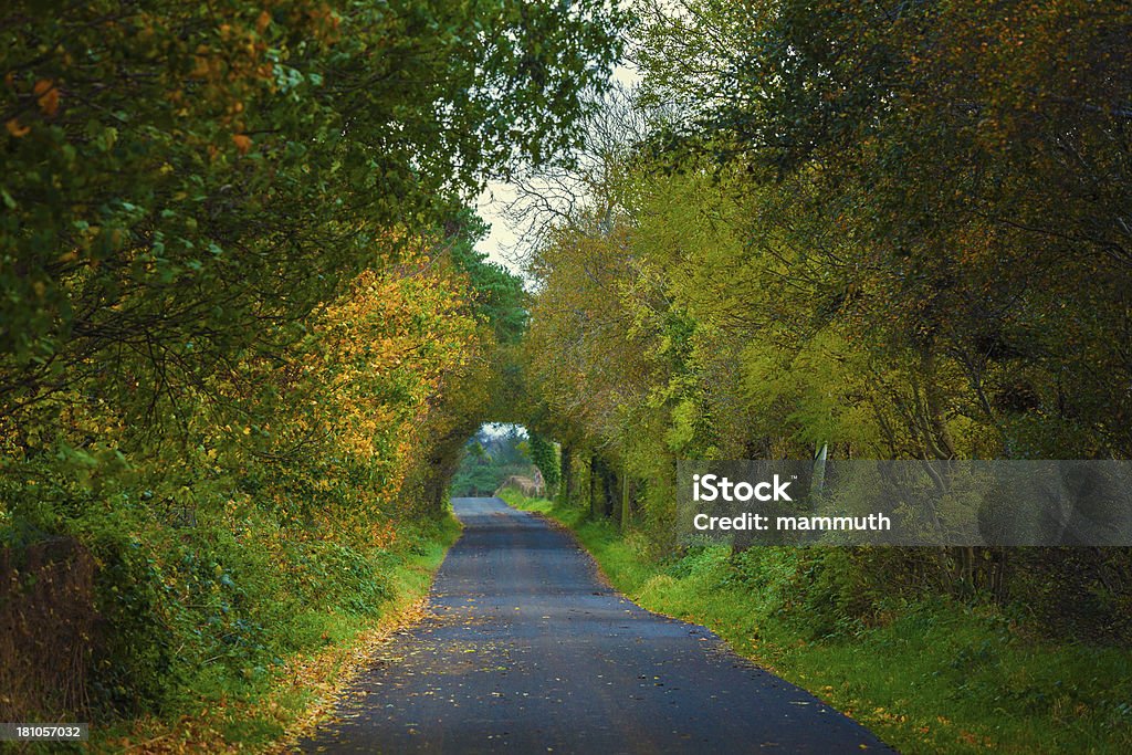 tunnel in den Herbst - Lizenzfrei Herbst Stock-Foto