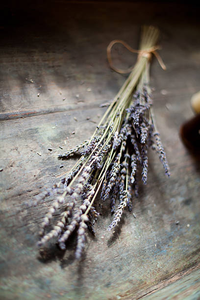 Dried Lavender Bunch stock photo