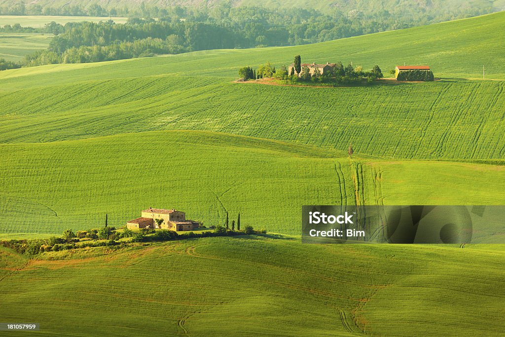 Paisaje ondulado, Toscana, Italia - Foto de stock de Agricultura libre de derechos