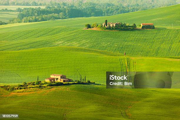 Paisagem Ondulada Toscana Itália - Fotografias de stock e mais imagens de Agricultura - Agricultura, Amarelo, Ao Ar Livre