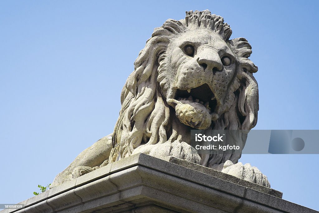 Lion der Kettenbrücke, Budapest, Ungarn - Lizenzfrei Budapest Stock-Foto