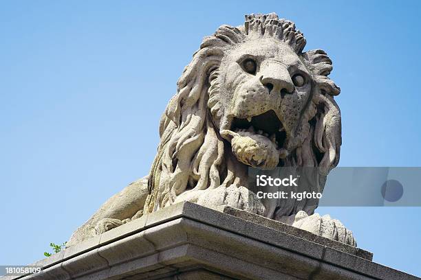 Lion Der Kettenbrücke Budapest Ungarn Stockfoto und mehr Bilder von Budapest - Budapest, Fotografie, Horizontal