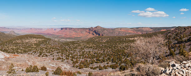 istock View towards Castleton Tower, Castle Valley, Moab, Utah, USA 181058327