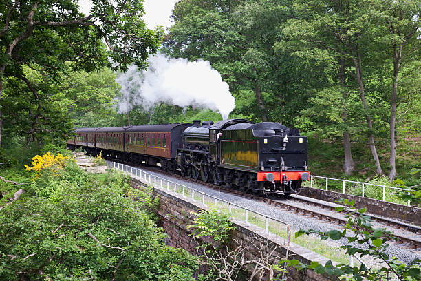 istock Steam Engine on North York Moors railway 181058540
