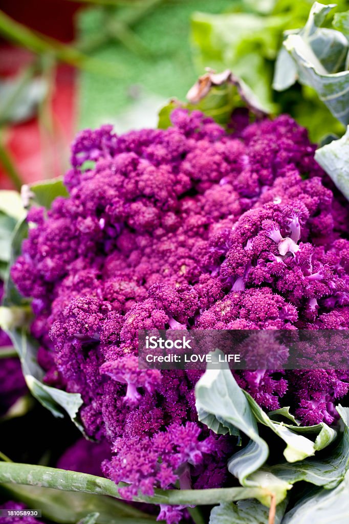 Purple Cauliflower Purple Cauliflower from the country market. macro, shallow focus. Cauliflower Stock Photo