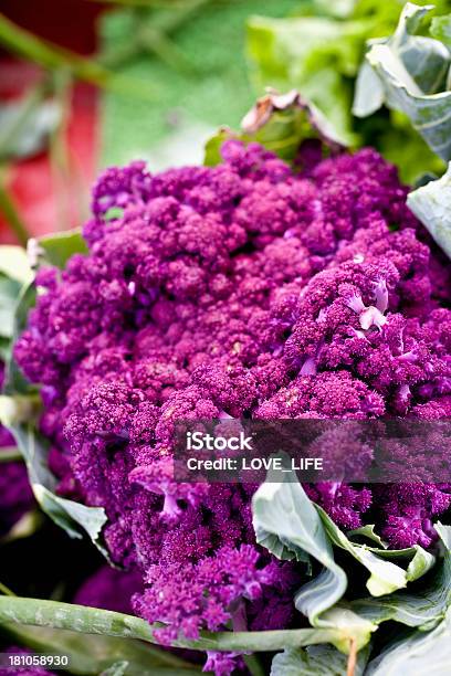 Purple Cauliflower Stock Photo - Download Image Now - Cauliflower, Close-up, Copy Space