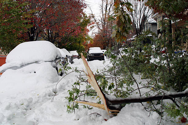 istock Destruction from Friday the 13th snow storm in Buffalo, NY 181059015