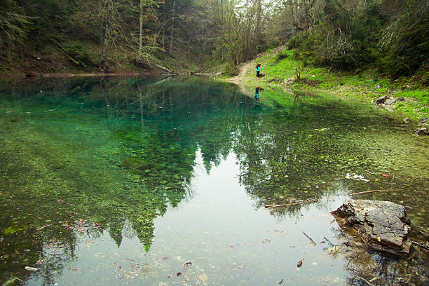 petite forest lake - leech photos et images de collection