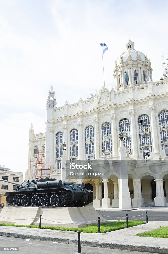 Русская майка Havana - Стоковые фото Агрессия роялти-фри