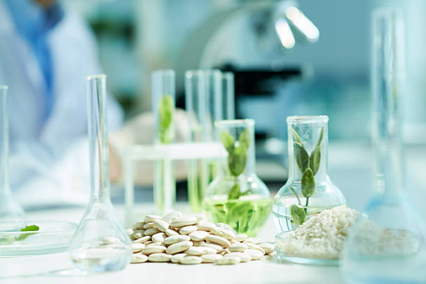 биология - food laboratory plant biology стоковые фото и изображения