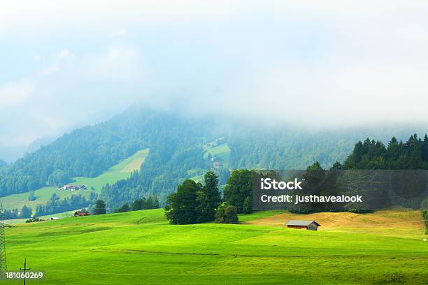 Утром Туман В Allgäu — стоковые фотографии и другие картинки Альгой - Альгой, Амбар, Бавария