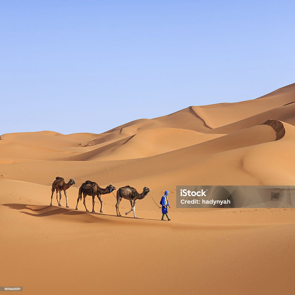 Young Tuareg with camel on Western Sahara Desert in Africa Tuareg with camels on the western part of The Sahara Desert in Morocco. The Sahara Desert is the world's largest hot desert. Sahara Desert Stock Photo