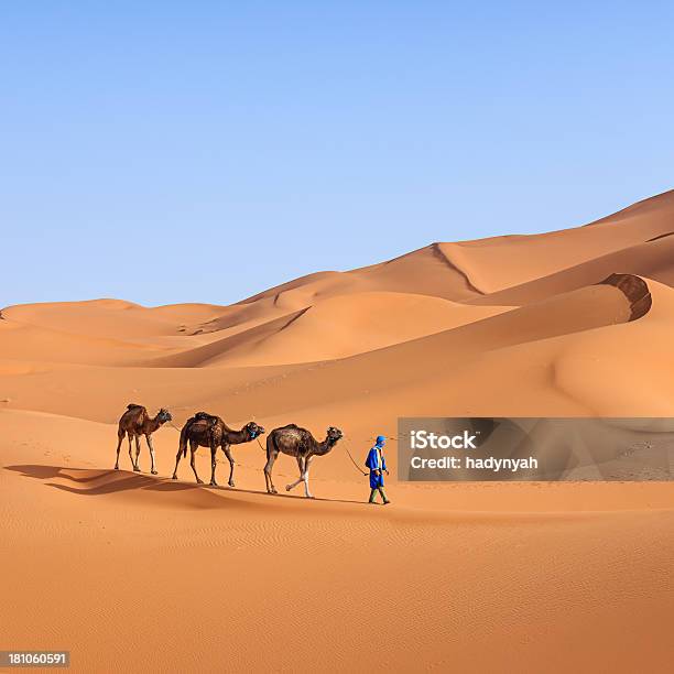 Young Tuareg With Camel On Western Sahara Desert In Africa Stock Photo - Download Image Now