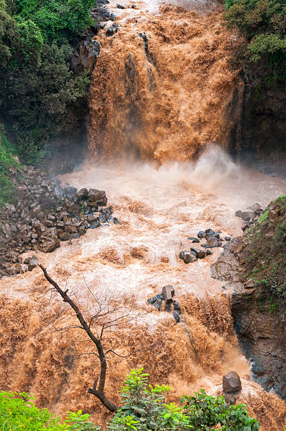 レイジング洪水で、水を活用するエチオピア abay - africa rain east africa ethiopia ストックフォトと画像