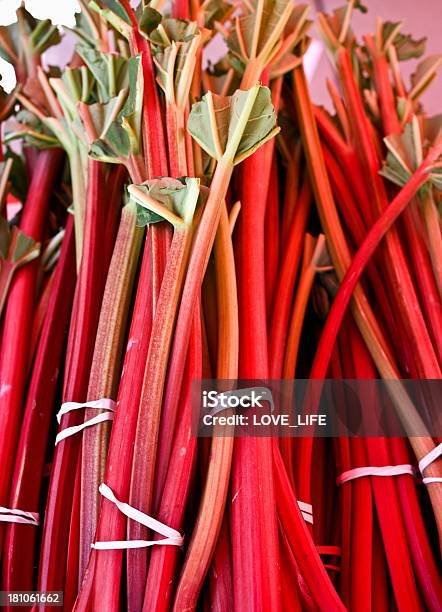 Ruibarbo - Fotografias de stock e mais imagens de Alimentação Saudável - Alimentação Saudável, Amarrado, Comida