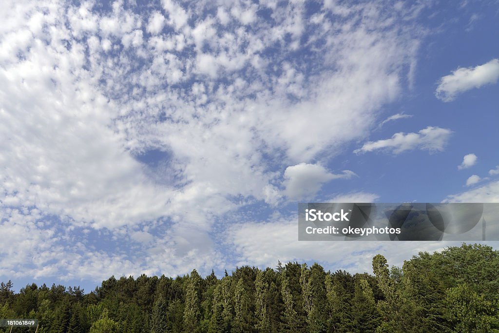 Cielo y plantas - Foto de stock de Aire libre libre de derechos