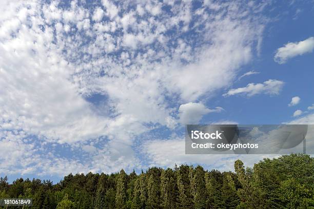 Cielo Y Plantas Foto de stock y más banco de imágenes de Aire libre - Aire libre, Arriba de, Azul