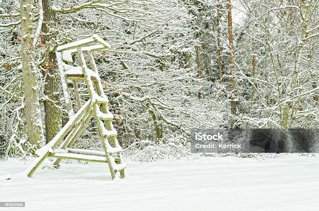 Stand vor einem Wald-winter - Lizenzfrei Feld Stock-Foto