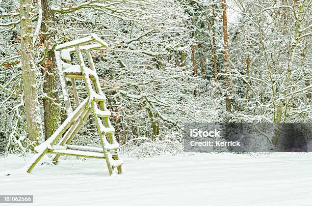 Stand Vor Einem Waldwinter Stockfoto und mehr Bilder von Feld - Feld, Fotografie, High Seat