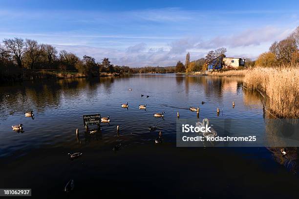 Photo libre de droit de Flèche Valley banque d'images et plus d'images libres de droit de Beauté de la nature - Beauté de la nature, Canard - Oiseau aquatique, Comté de Worcester