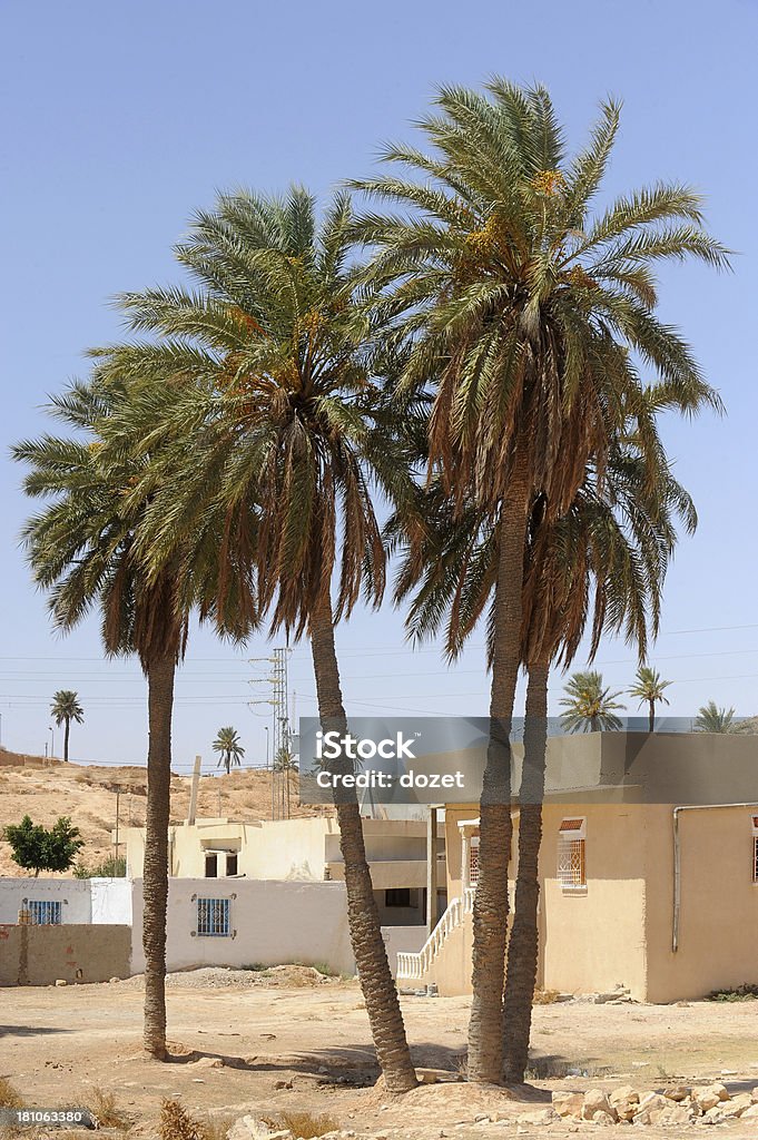 Matmata, Tunisia Matmata, Tunisia. The largest region of the troglodyte communities. One of many dwellings - fragment of courtyard excavated in the rock (circular crater a few meters deep) Africa Stock Photo