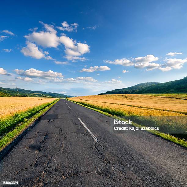 Photo libre de droit de Champ De Blé En Plein Air banque d'images et plus d'images libres de droit de Être en rut - Être en rut, Route, Macadam