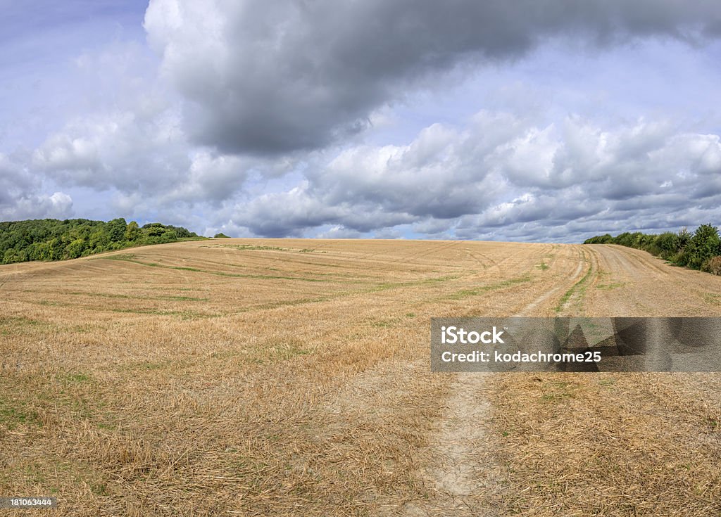 bales hay-on-Wye - Photo de Agriculture libre de droits