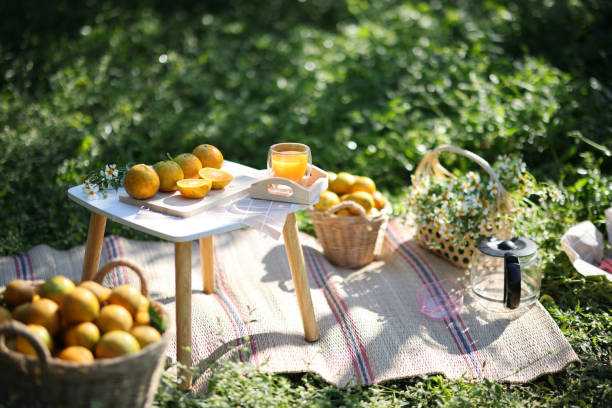 istock Orange juice on Orange Garden backgound in sunrise 1810636455