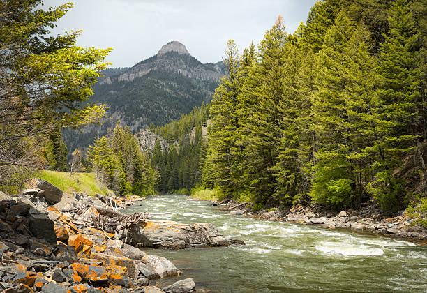 gallatin río montana - bozeman fotografías e imágenes de stock