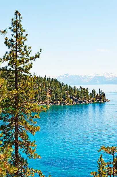 Beautiful Alpine Lake Tahoe, it includes portions of California and Nevada. The 75 mile shore line never ceases to amaze you, The views are always awsum and memorable. This view is from the East Shoreline, the Nevada side. Near Sand Harbor you always enjoy great views, this view from the highway takes in the beautiful blue alpine lake as well as the Snow capped Sierra Nevada Mountains.