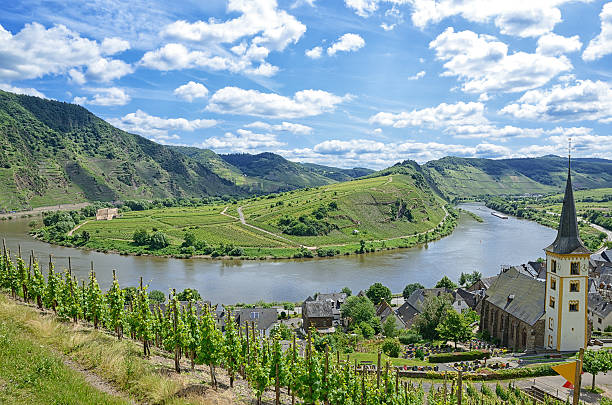 Horse shoe bend river Mosel with small village and  vineyards stock photo