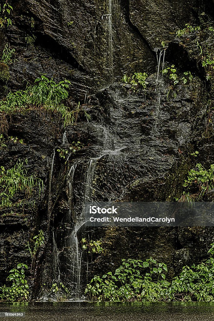 Rainy Day cascada en las montañas humeantes - Foto de stock de Agua libre de derechos