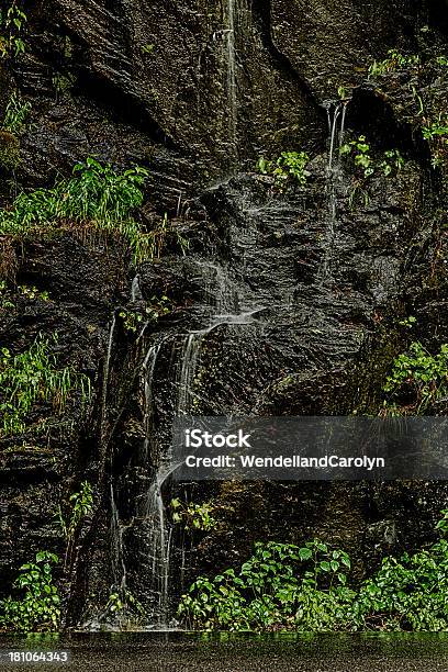 Deszczowy Dzień Wodospad W Gór Smoky Mountains - zdjęcia stockowe i więcej obrazów Appalachy - Appalachy, Bez ludzi, Bogini ziemi