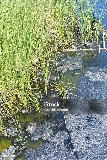 Foto de Lago De Água Contaminado e mais fotos de stock de Alcatrão - Alcatrão, Califórnia, Cidade de Los Angeles