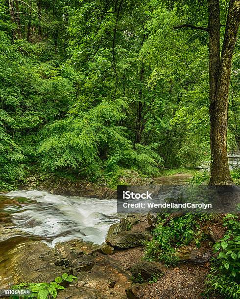 Foto de Montanha Na Primavera Nos Eua e mais fotos de stock de Appalachia - Appalachia, Cena de tranquilidade, Cor Vibrante