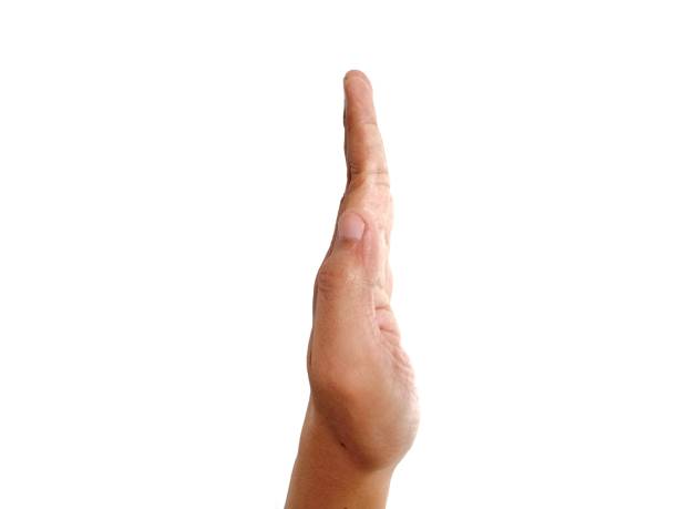 Photos with themes and hand pose concepts