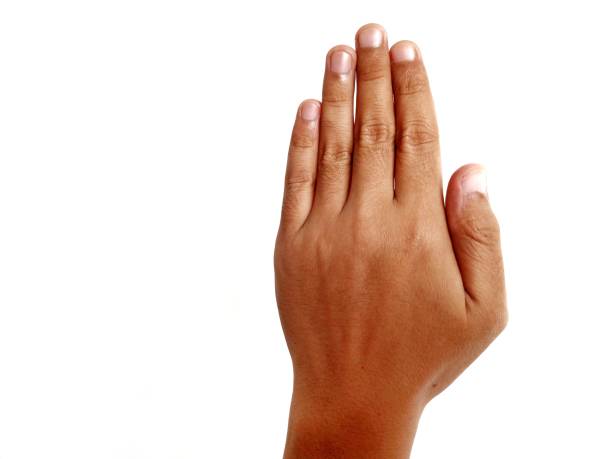 Photos with themes and hand pose concepts