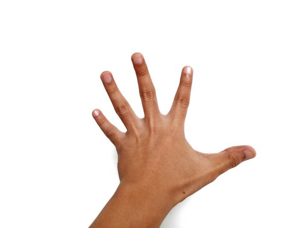 Photos with themes and hand pose concepts