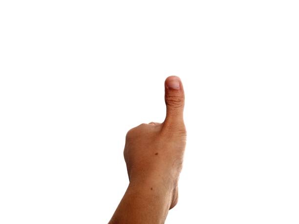 Photos with themes and hand pose concepts