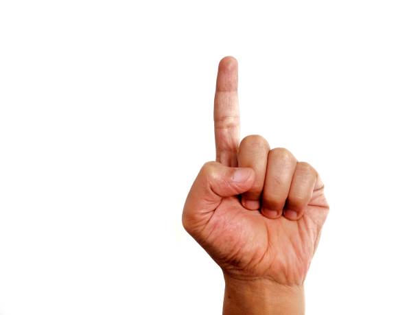 Photos with themes and hand pose concepts
